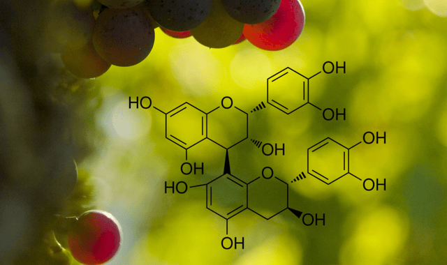 Des OPC de raisin dans le Multivitamines Ixeaboost Multi premium
